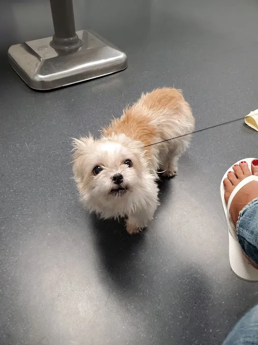 Airport Animal Emergi-Center Picture 4