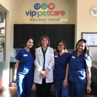 VIP Petcare Vaccination Clinic ico
