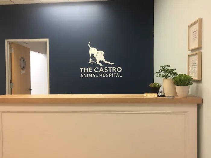 The Castro Animal Hospital Picture 3