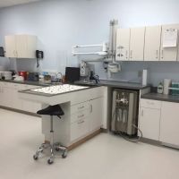 The Castro Animal Hospital ico