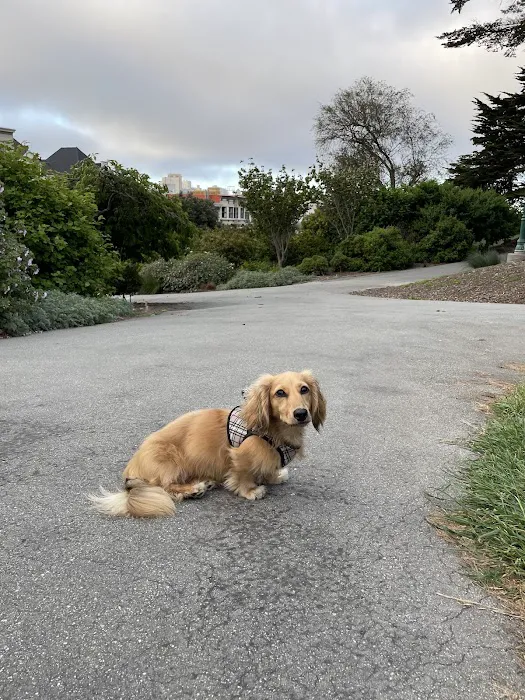 The Castro Animal Hospital Picture 4