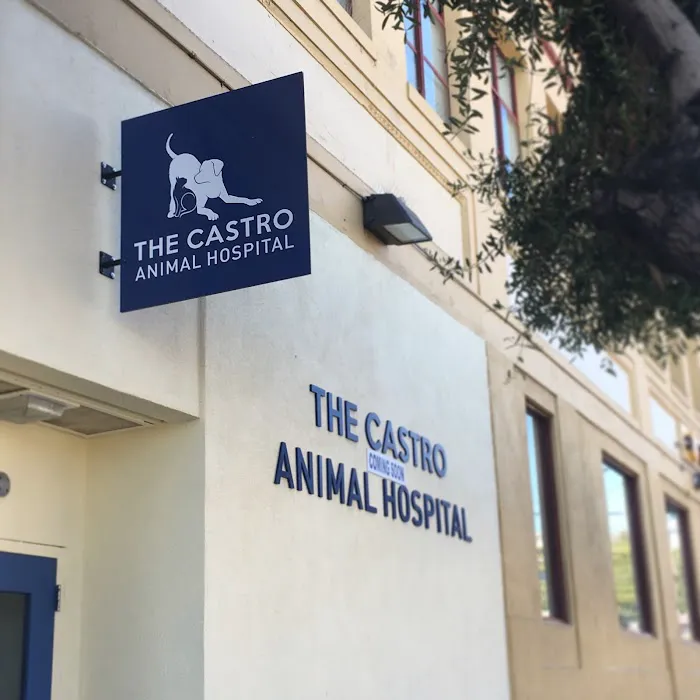 The Castro Animal Hospital Picture 5