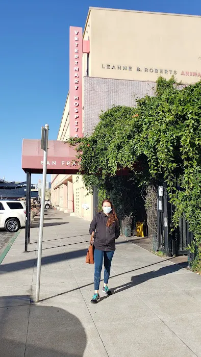 San Francisco SPCA Veterinary Hospital Picture 3