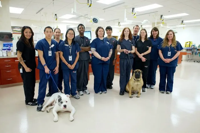 San Francisco SPCA Veterinary Hospital Picture 1