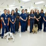 San Francisco SPCA Veterinary Hospital