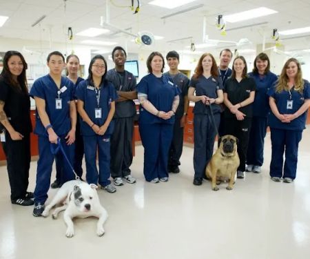 San Francisco SPCA Veterinary Hospital
