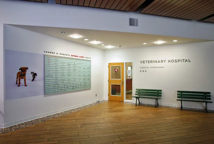 San Francisco SPCA Veterinary Hospital Picture 6