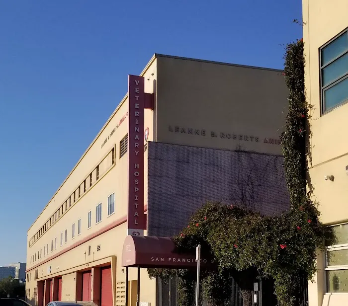 San Francisco SPCA Veterinary Hospital Picture 4