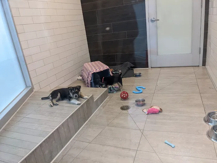 San Francisco SPCA Veterinary Hospital Picture 8