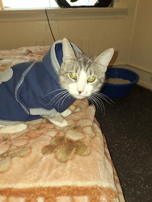 San Francisco SPCA Spay & Neuter Clinic Picture 1
