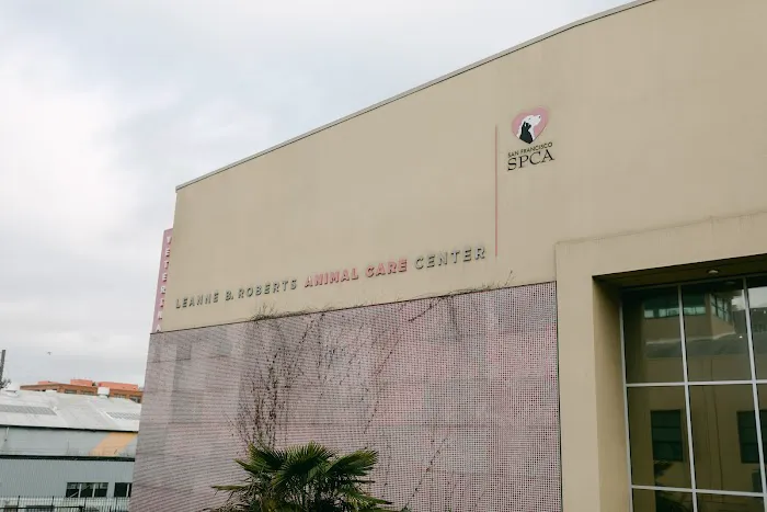 San Francisco SPCA Spay & Neuter Clinic Picture 2
