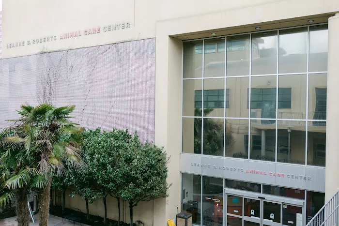 San Francisco SPCA Spay & Neuter Clinic Picture 9