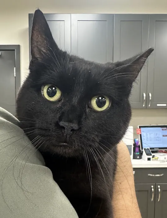 SF Vet Hospital Picture 1