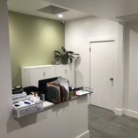 Blue Cross Pet Hospital ico