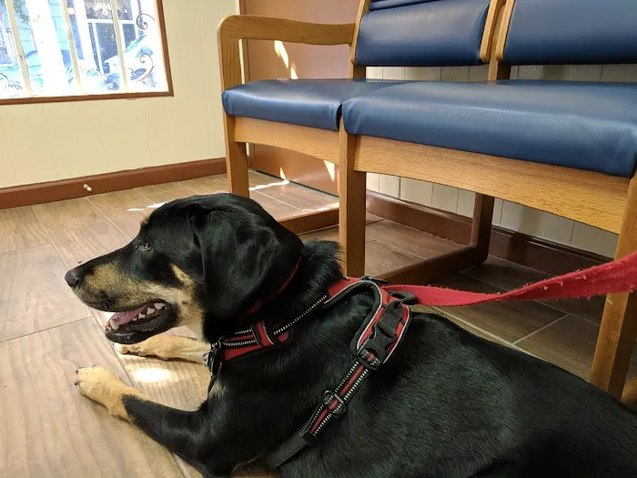 Blue Cross Pet Hospital Picture 3