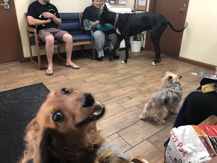 Blue Cross Pet Hospital Picture 4