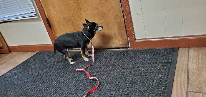 Blue Cross Pet Hospital Picture 6