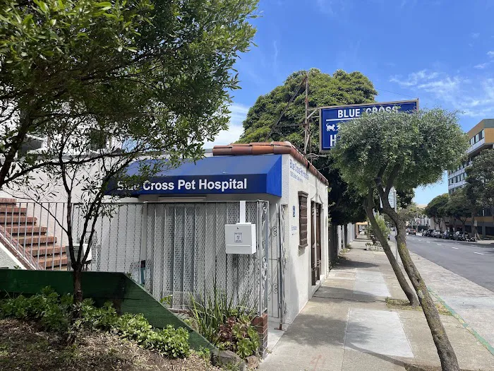 Blue Cross Pet Hospital Picture 5