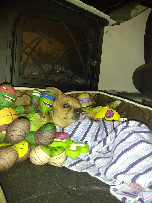 Blue Cross Pet Hospital Picture 7