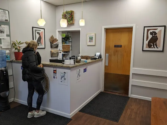 Mission Pet Hospital Picture 3