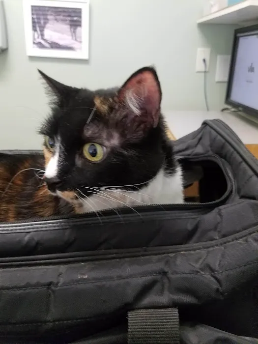 Mission Pet Hospital Picture 6