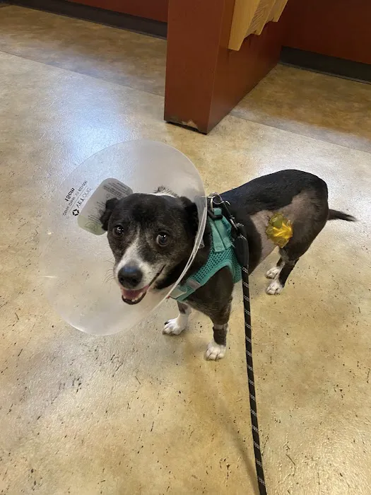 SAGE Veterinary Centers - San Francisco Picture 1