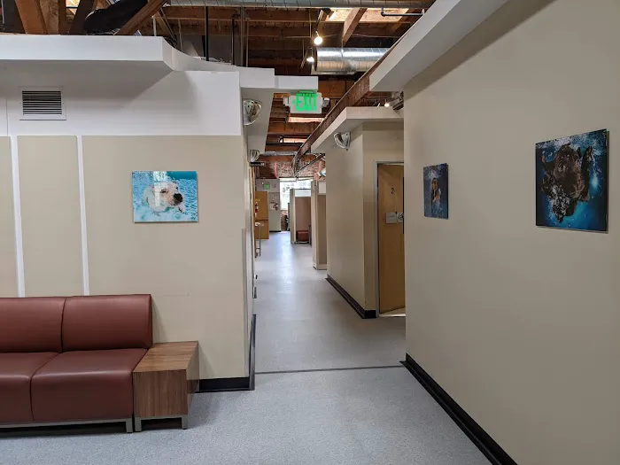 SAGE Veterinary Centers - San Francisco Picture 2