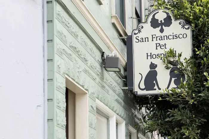San Francisco Pet Hospital Picture 2