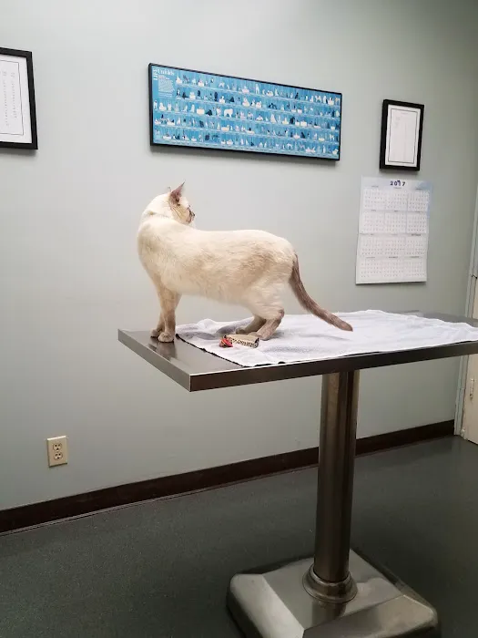 San Francisco Pet Hospital Picture 3