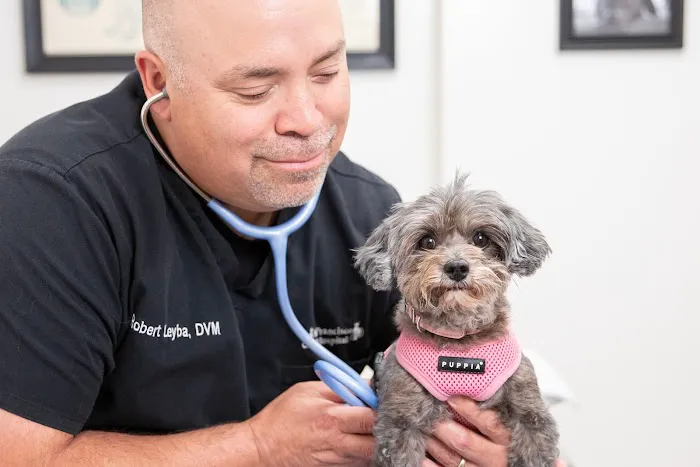 San Francisco Pet Hospital Picture 4