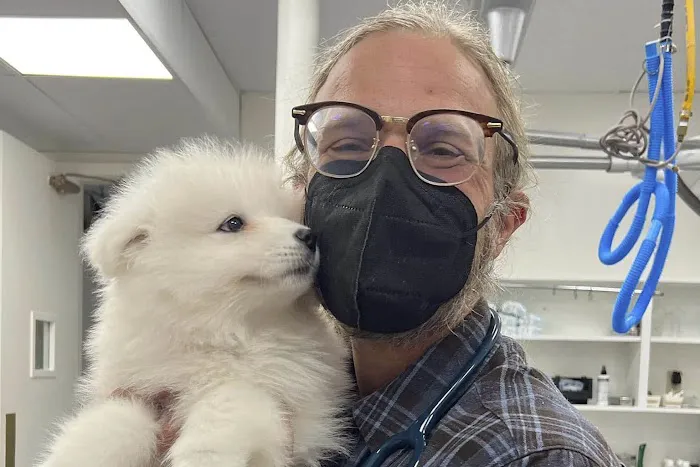 San Francisco Pet Hospital Picture 7