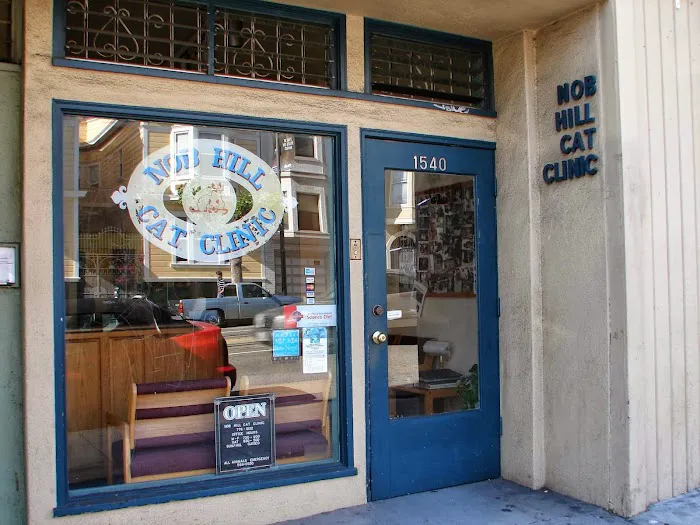 Nob Hill Cat Clinic Picture 2