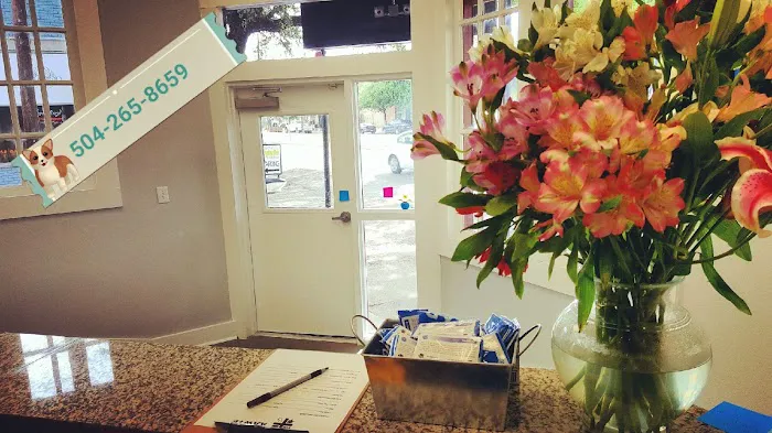Avenue Animal Wellness + Emergency Picture 4