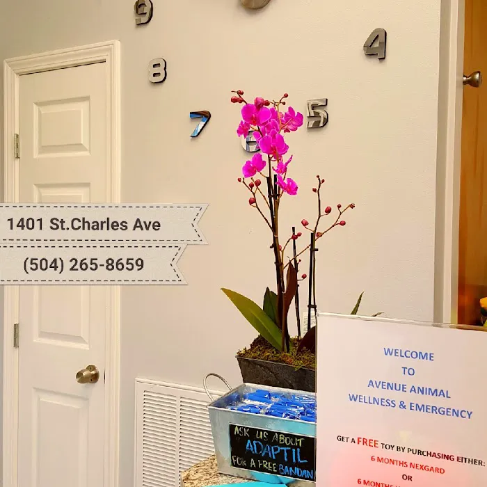 Avenue Animal Wellness + Emergency Picture 10