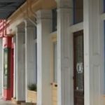 Southern Animal Foundation