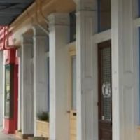 Southern Animal Foundation ico