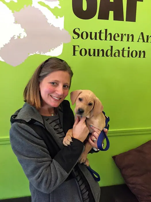 Southern Animal Foundation Picture 3