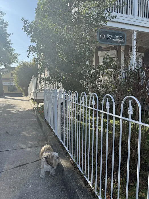 Eye Center For Animals Inc Picture 6