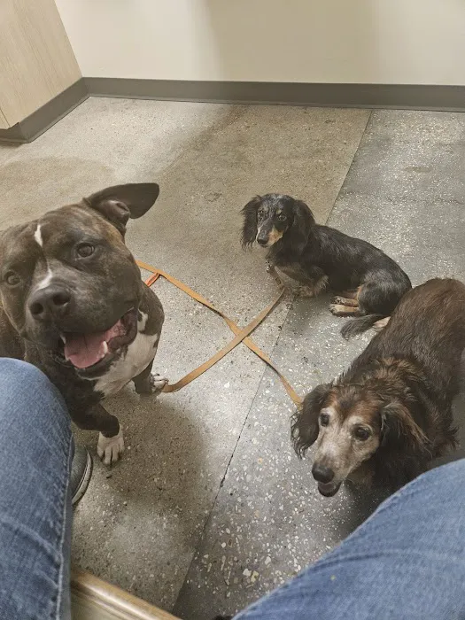 Vetco Total Care Animal Hospital Picture 7