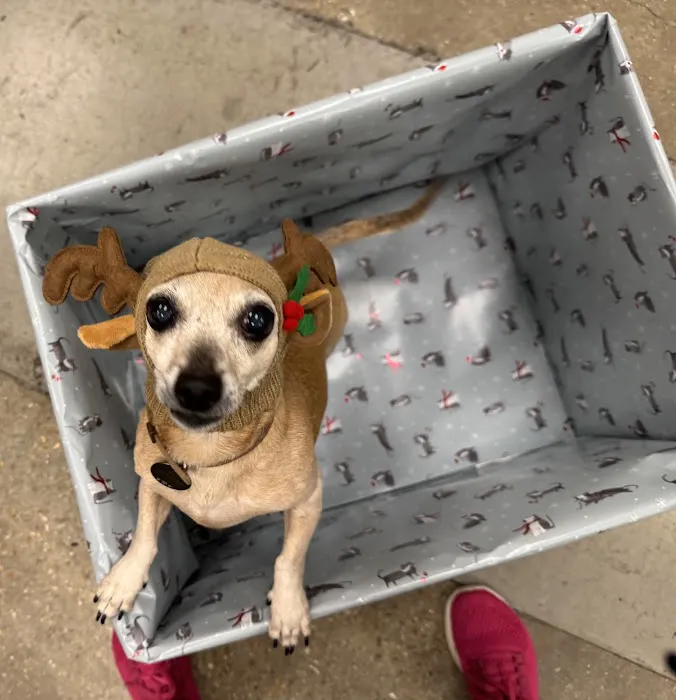 Vetco Total Care Animal Hospital Picture 9