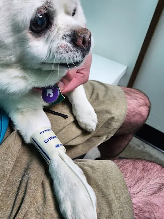 MidCity Veterinary Hospital Picture 2