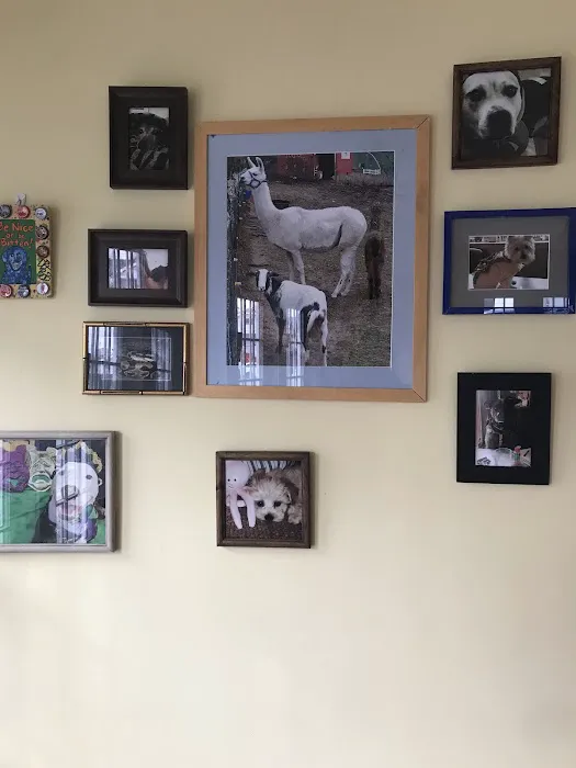 MidCity Veterinary Hospital Picture 7