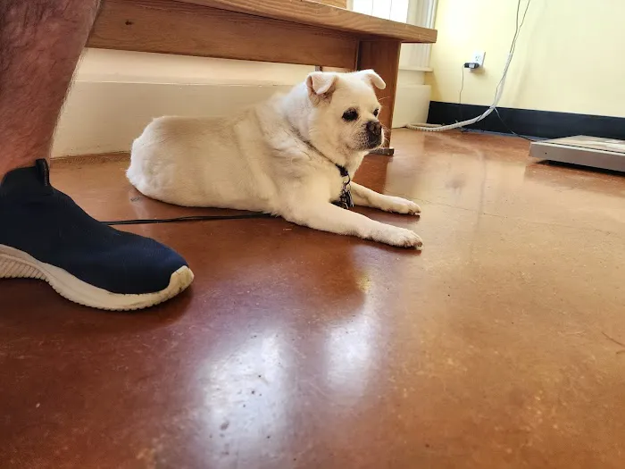 MidCity Veterinary Hospital Picture 6