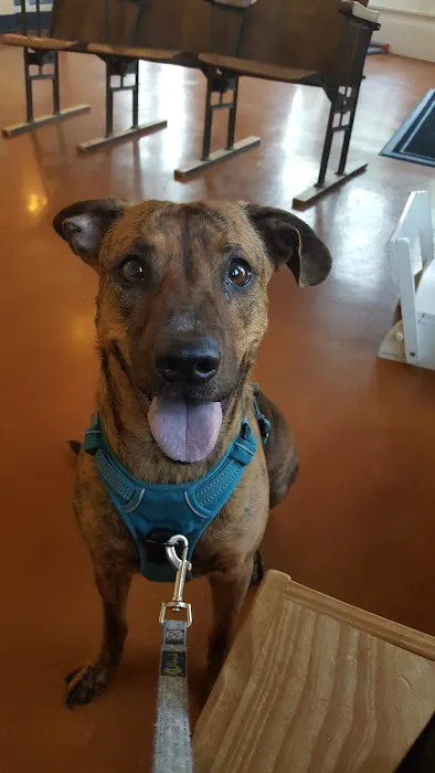 MidCity Veterinary Hospital Picture 10