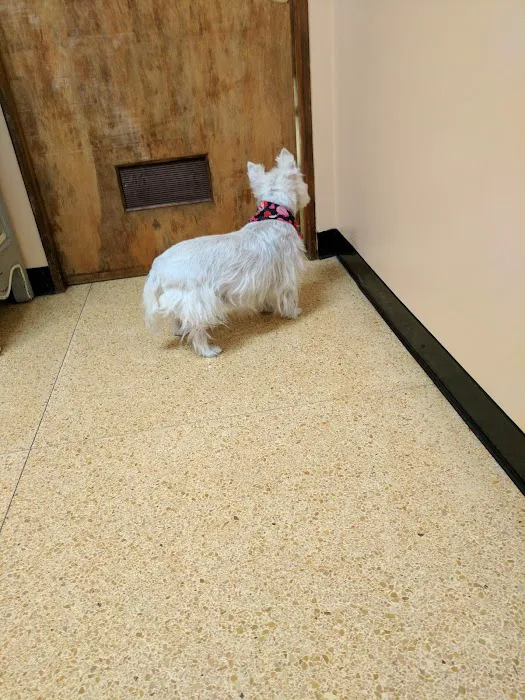Canal Street Veterinary Hospital Picture 4