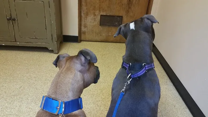 Canal Street Veterinary Hospital Picture 10
