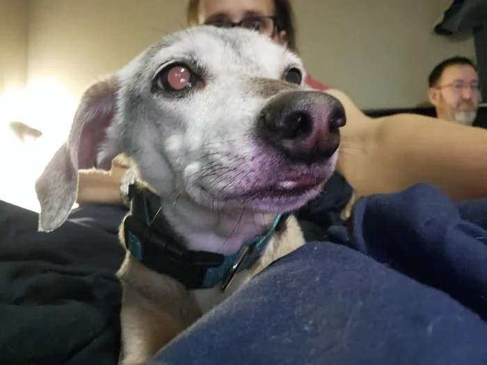 Canal Street Veterinary Hospital Picture 9
