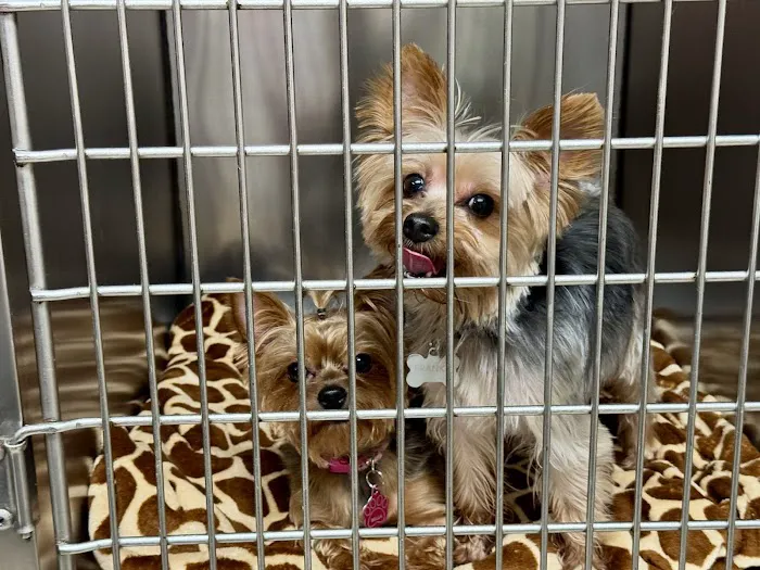 Gretna Veterinary Hospital Picture 1