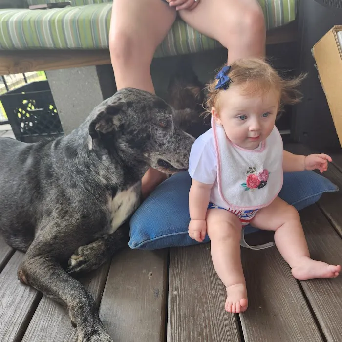 Gretna Veterinary Hospital Picture 7