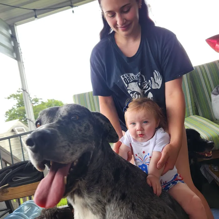 Gretna Veterinary Hospital Picture 10